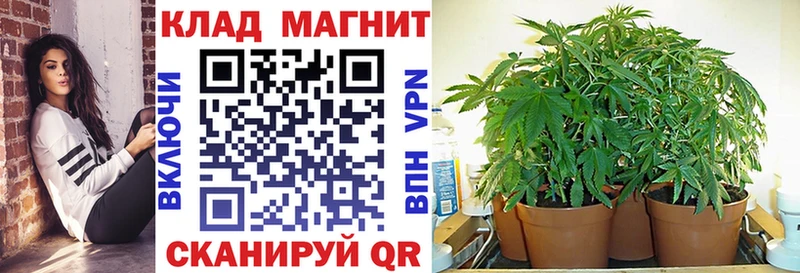 Купить Кокаин  МЕФ  Галлюциногенные грибы  Канабис  ГАШ  Амфетамин  Верея