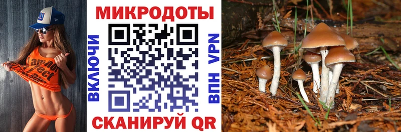 Псилоцибиновые грибы GOLDEN TEACHER Верея