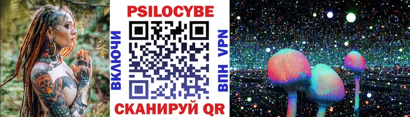 Псилоцибиновые грибы Cubensis  Купить где  Верея 